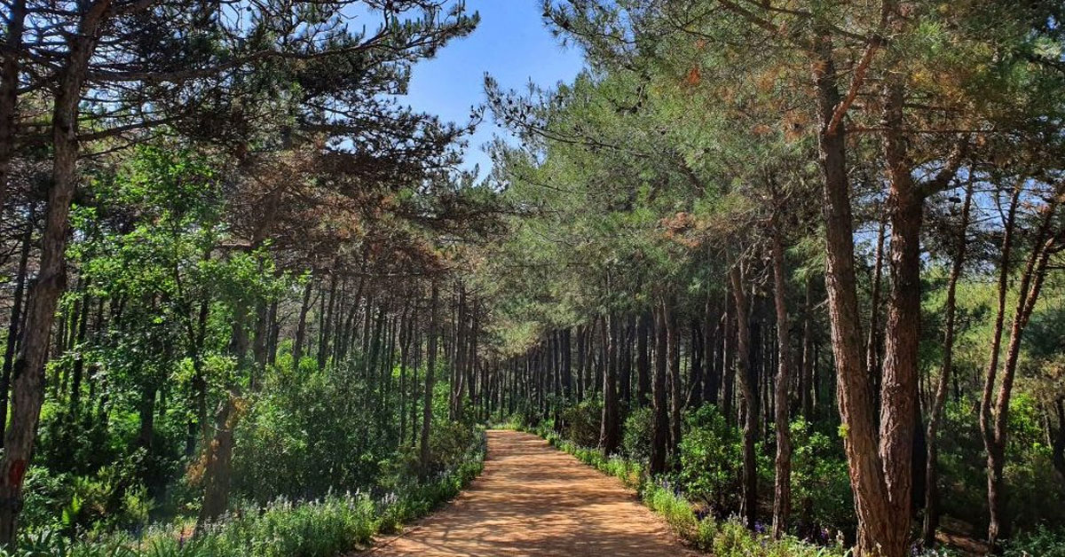 Bolu Atatürk Orman Parkı