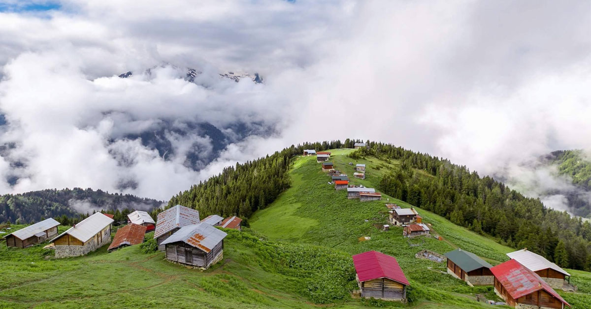 Pokut Yaylası